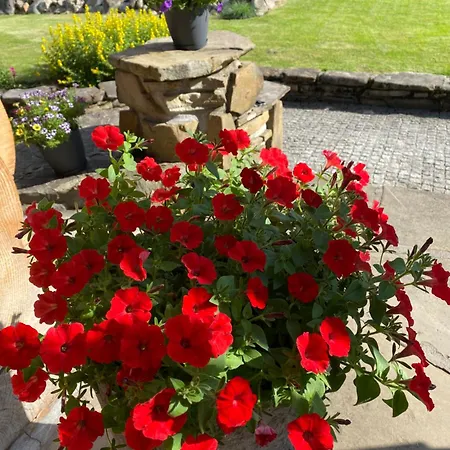 Bed & Breakfast Goralskie Spanie
